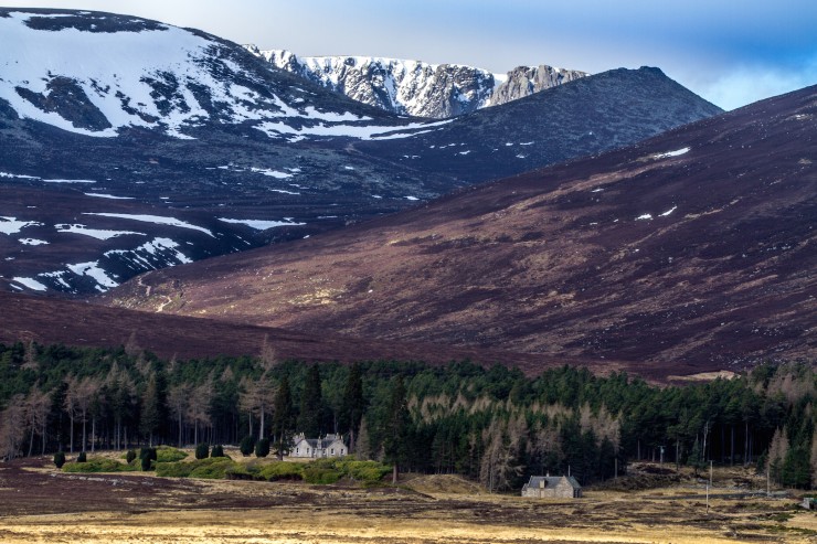 Alt-Na-Giubhsaich and Lochnagar in the background.