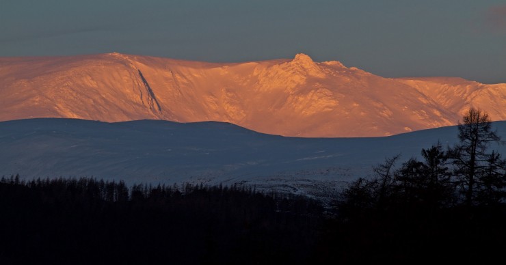 Morning Alpenglow, Beinn A' Bhuird.
