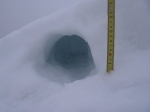 Snow Holes