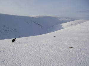 White Mounth and top of Lochnagar