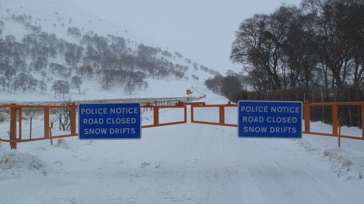 Snow gates.