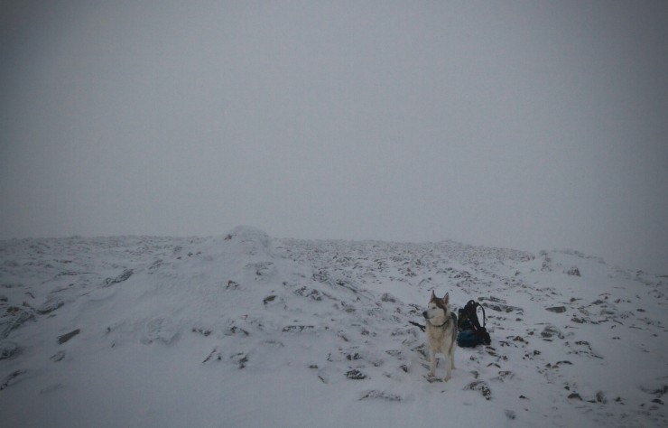 Summit of Carn an Tuirc today.