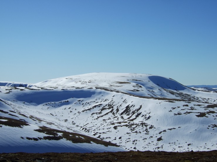 Good cover above 800m. Looking from Carn an Tuirc to Glas Maol