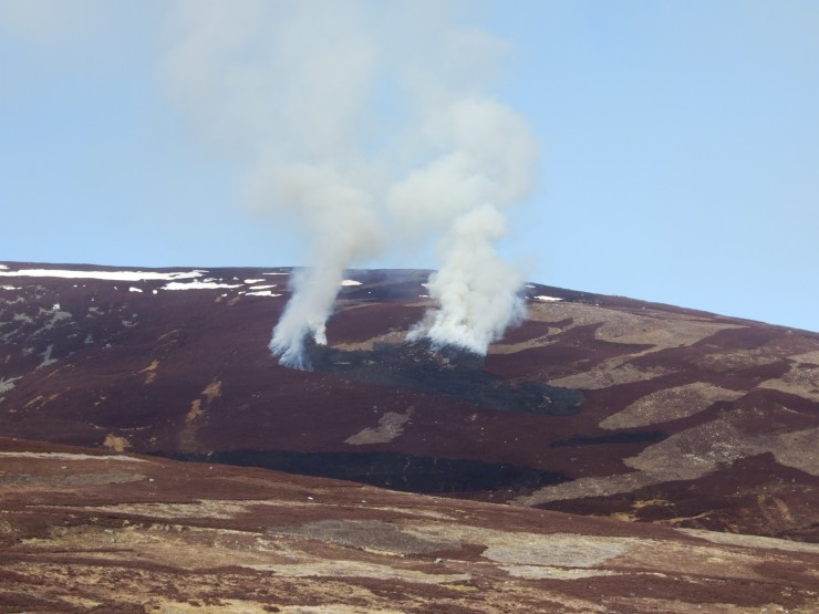 Fairly spectacular heather burning on Morrone today. (NB - Deliberate and controlled)