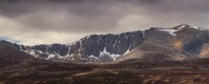 A dusting of new snow.