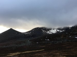 Dry, overcast day