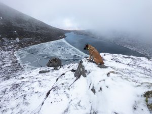 A thawing Lochnagar.