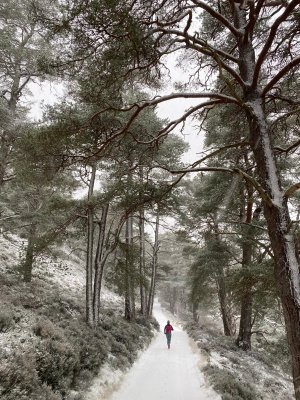 Snow at last, but warming up again