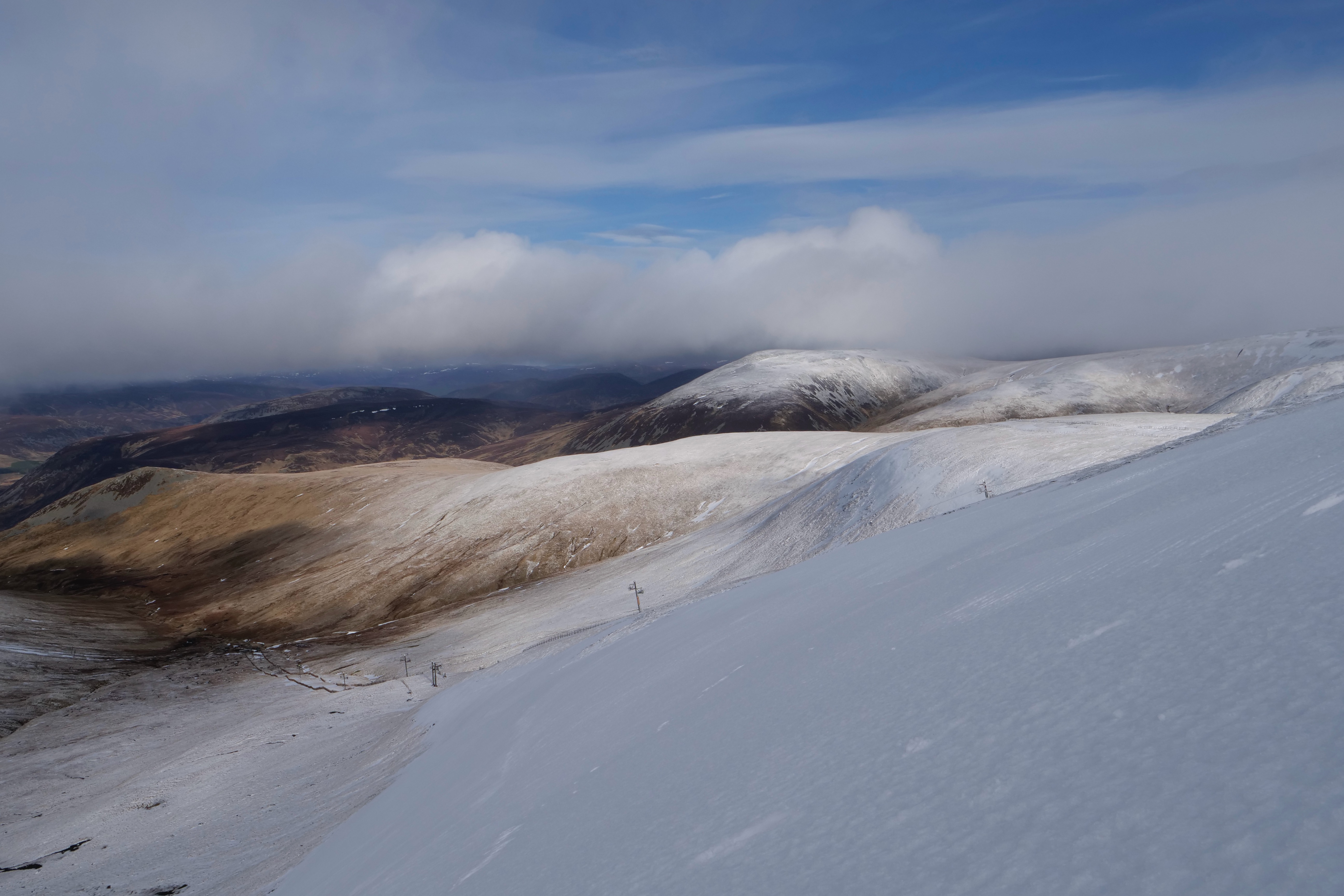 A little bit whiter…