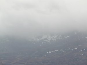 Mild and windy