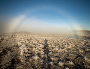 Inversion conditions continue….