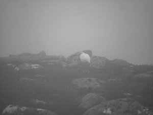 Mild and poor visibility