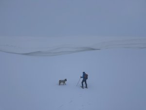 Another day in Paradise…