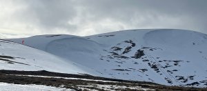 Firm becoming firmer