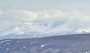 End of forecasting 25-26